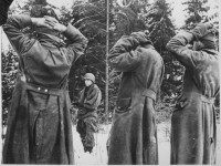 battle-of-the-bulge-prisoners-public-domain