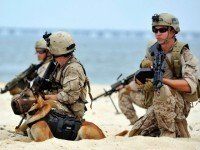 US-ATTACKS-BINLADEN-MILITARY-SEALS