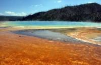 Yellowstone's colorful geothermal pools used to be plain blue