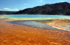 Yellowstone's colorful geothermal pools used to be plain blue