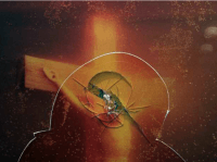 REUTERS/JEAN-PAUL PELISSIER