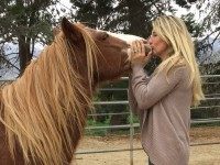 Tawni's Ponies (Courtesy Tawni Angel)