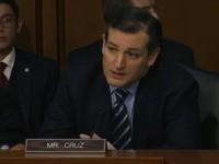 cruz