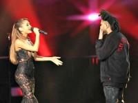 AP Photo/Matt Sayles