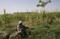 Afghan president says U.S. withdrawal timetable should be 're-examined'