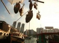 Thailand's plan to use prison labor at sea condemned