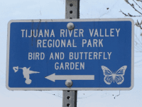 Butterfly Garden (Michelle Moons / Breitbart News)