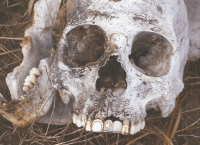 Unidentified deceased immigrant #5 for 2015 in Brooks County. Discovered Photo by Brooks County Sheriff's Deputy Elias Pompa.