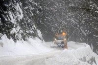 AP Photo/CTK, Radek Petrasek