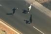 Raw: Llamas on the Loose in Arizona