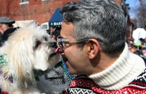 Dogs recognize facial cues like smiles and scowls