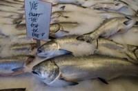 New handheld device to help spot fish fraud