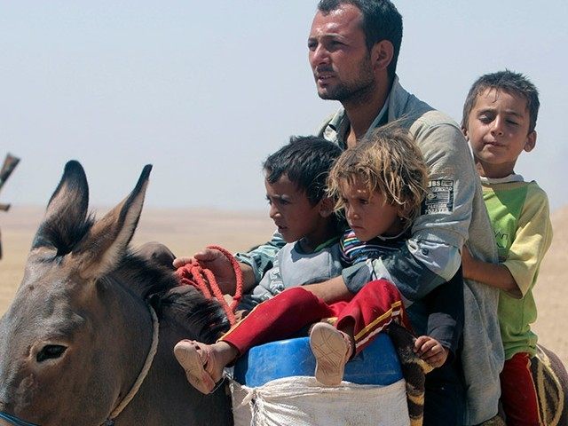 yazidi-refugees-flee-iraq-reuters