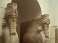 MCAD Library / Flickr