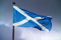 Scottish Flag