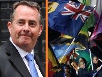 Dr Fox Commonwealth AFP Reuters