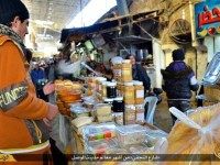 ISIS Tourist Brochure