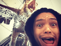 Trevor Noah (Twitter)