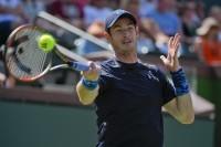 Andy Murray