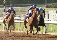 Dortmund, Martin Garcia