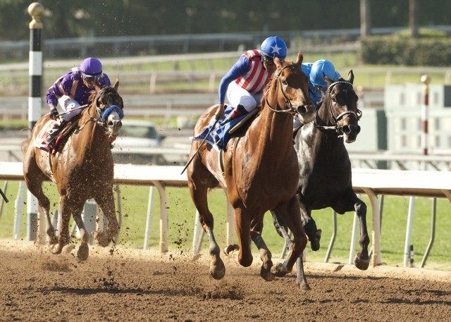 Dortmund, Martin Garcia