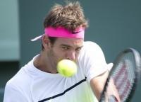 Vasek Pospisil, Juan Martin del Potro