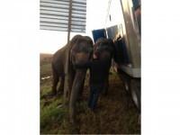 UPI/Natchitoches Parish Sheriff's Office