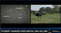 emu