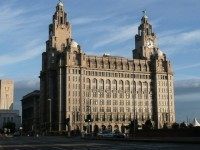 liver_building