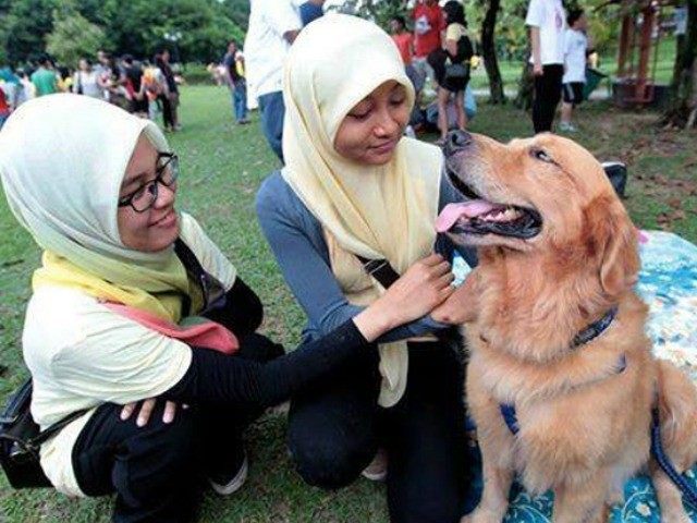 malaysia-dog-touching-Reuters-640x480.jp