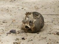 REUTERS/Emmanuel Braun