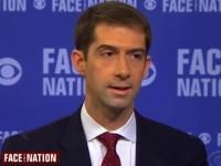 tomcotton