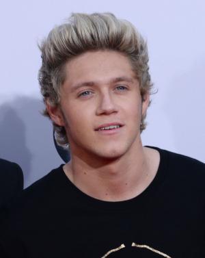 Niall Horan says One Direction is working on new album