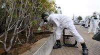 Compound protects crops from radiation-contaminated soil