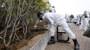 Compound protects crops from radiation-contaminated soil