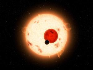 Double sunset exoplanets like Tatooine may be common
