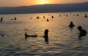 Scientists say salt may guard against infection