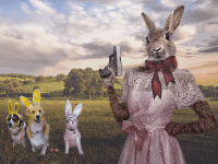 Easter Egg Gun (David Blackwell / Flickr / Creative Commons)