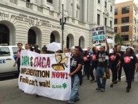 Exec Amnesty Protests United We Dream