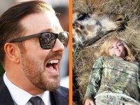 Gervais-Hunting-Stripe