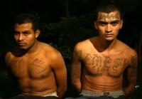 Men said to be gang members after being arrested during police operation