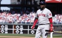 David Ortiz