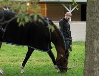 Tencendur, Blair Golen