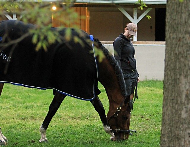 Tencendur, Blair Golen