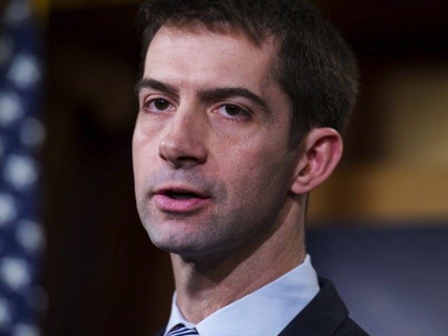 tomcotton