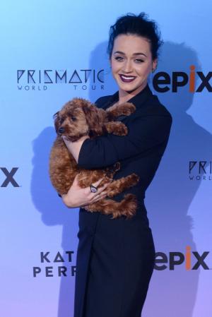 Katy Perry debuts new 'Kris Jenner' haircut