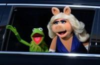 'The Muppets' revival in the works at ABC