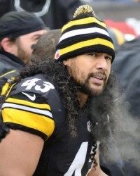 Troy Polamalu tells Steelers he's retiring