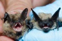 14462841119_66486f138a_b