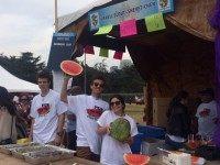 Israel festival (Adelle Nazarian / Breitbart News)